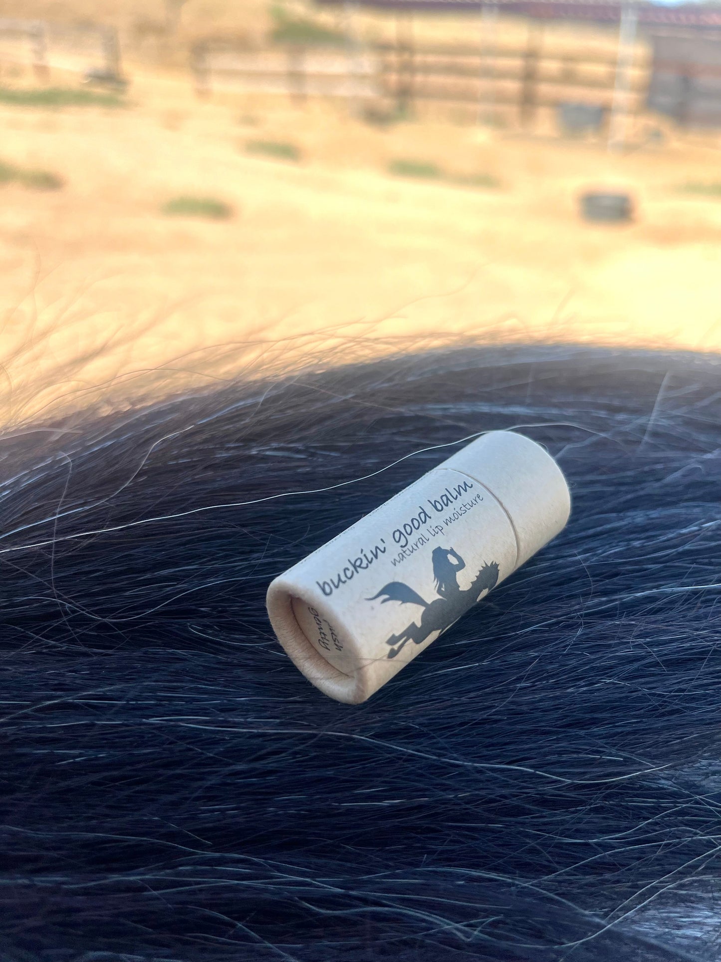 Lip Balm, PeppermintNatural Peppermint Lip Balm for Dry Lips | The Trendora Vault|