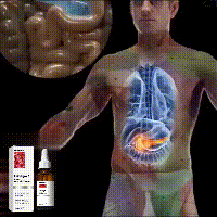 Googeer Omega-3 Pure Health Drops – Support Heart Health, Balance Blood Lipids & Sugar, Relieve Physical Discomfort |The Trendora Vault|