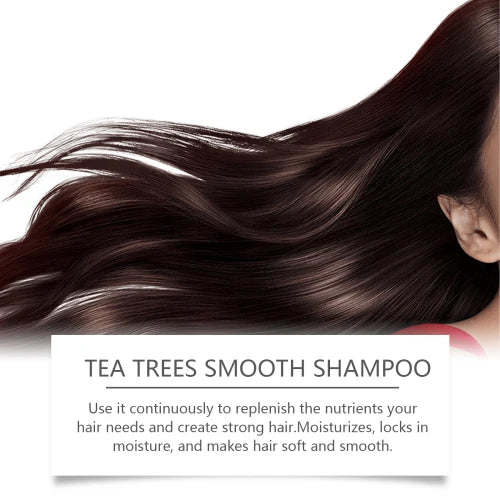 EELHOE Tea Tree Shampoo – Gentle Cleansing, Oil Control & Repair for Dry, Damaged Hair | Softening & Scalp Care Formula |The Trendora Vault|