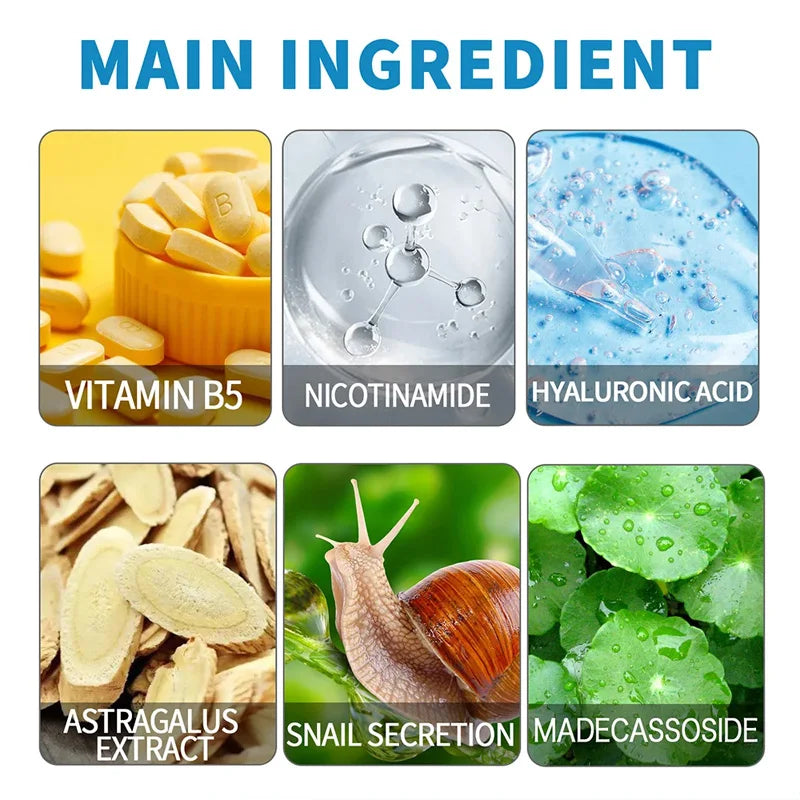 B5 Hyaluronic Acid Serum – Pore Tightening, Lifting & Firming Essence for Fine Lines, Dark Circles & Hydration (30ML) |The Trendora Vault|